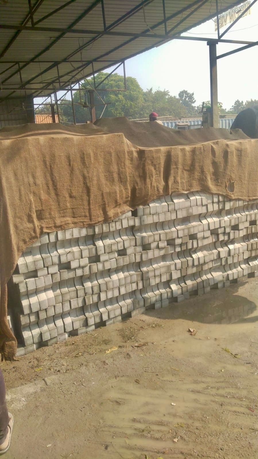 Grass Paver